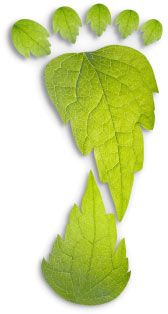 Green Leaf in shape of foot