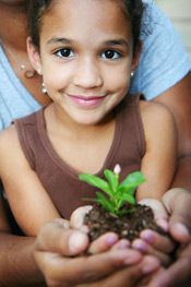 Holding a green plant